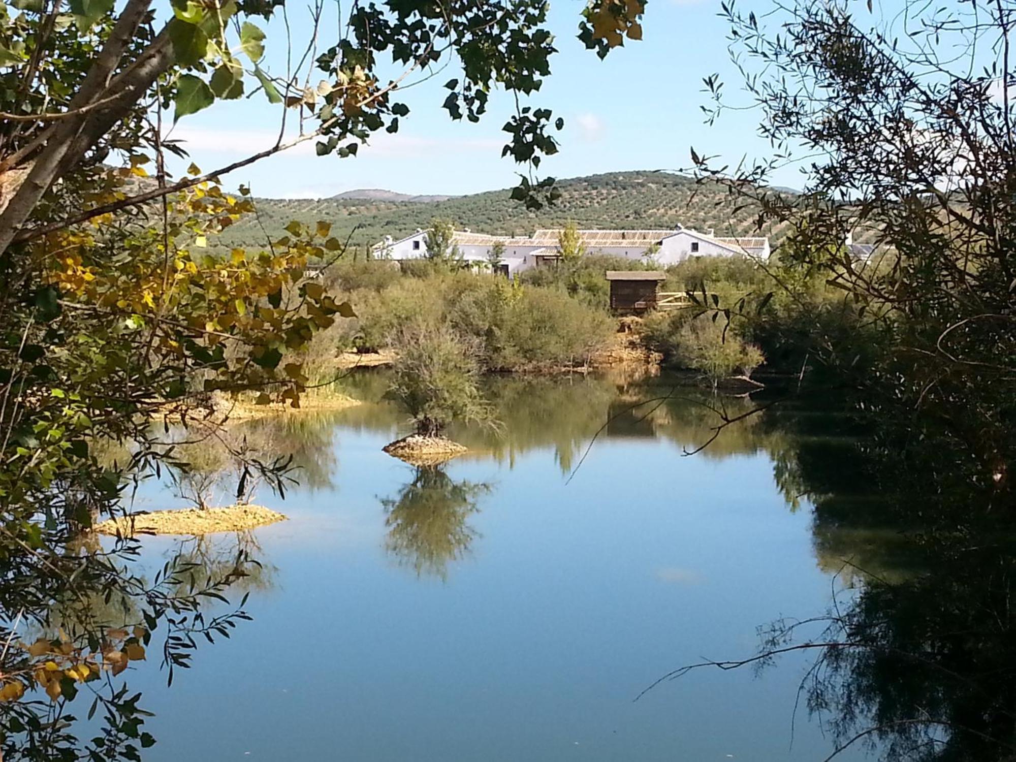 Apartamento Complejo Turístico Rural Fuente Taray Malagón Exterior foto
