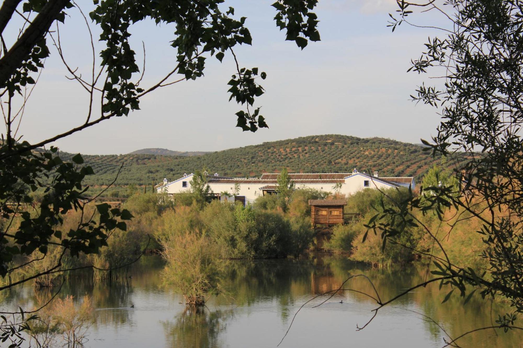 Apartamento Complejo Turístico Rural Fuente Taray Malagón Exterior foto